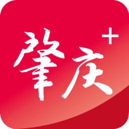 探索开云综合APP的多种功能与服务